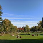 pique nique jardin public de Bordeaux