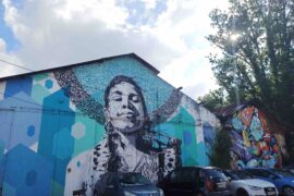 Darwin à Bordeaux
