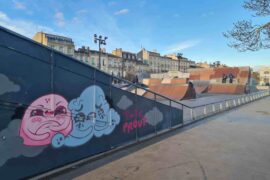le skatepark des charrons