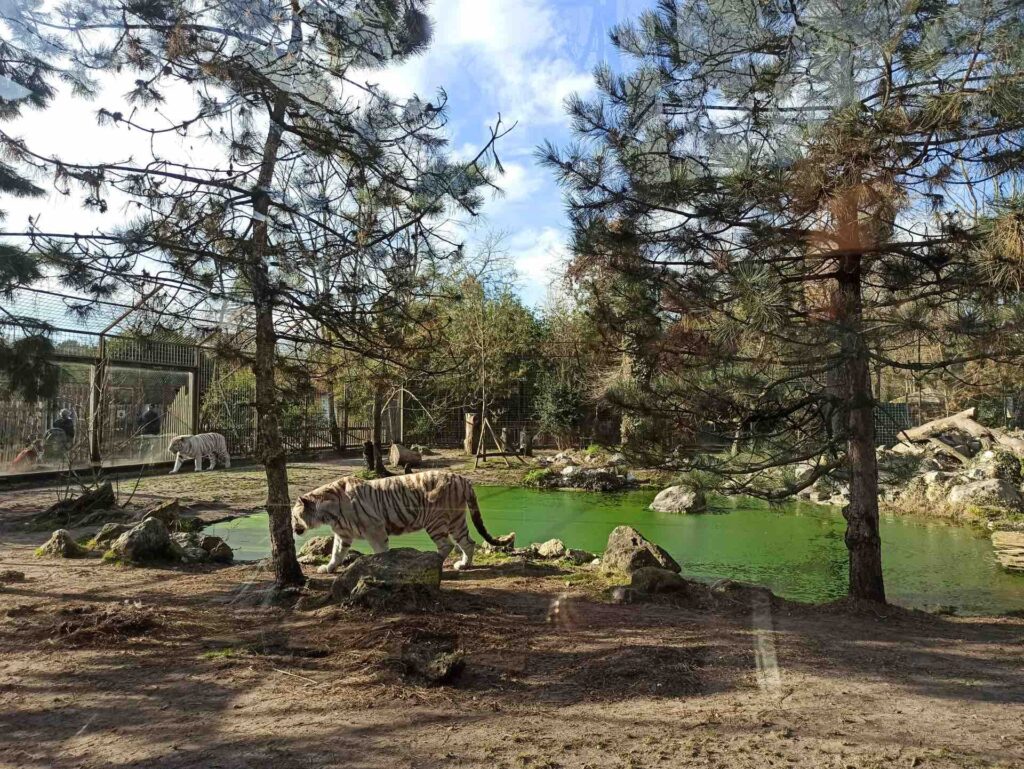 le zoo de Bordeaux Pessac