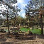 le zoo de Pessac à Bordeaux