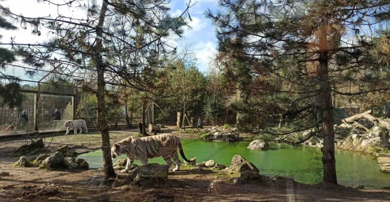 le zoo de Pessac à Bordeaux