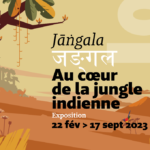 L'exposition Mangala, au coeur de la jungle indienne