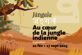 L'exposition Mangala, au coeur de la jungle indienne