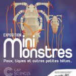 exposition Mini Monstres à Cap Sciences