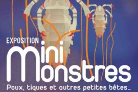 exposition Mini Monstres à Cap Sciences